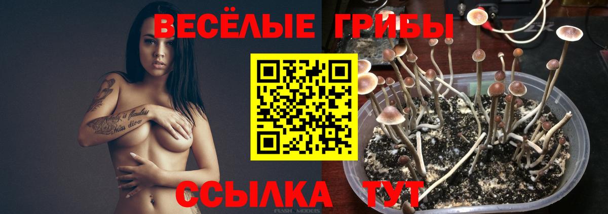 Псилоцибиновые грибы прущие грибы  Галлюциногенные грибы MAGIC MUSHROOMS  Орехово-Зуево  Вход с VPN 